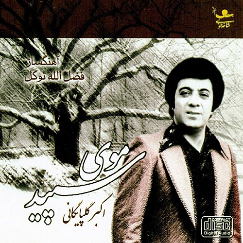 آهنگ جدید گلپا به نام وطن